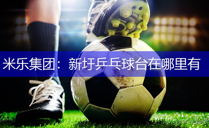 米乐集团：新圩乒乓球台在哪里有