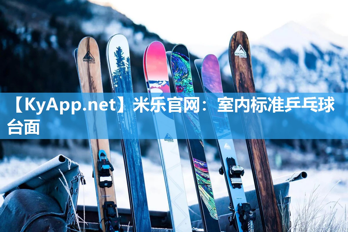 米乐官网：室内标准乒乓球台面