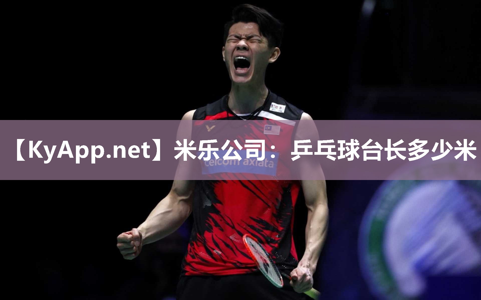 米乐公司：乒乓球台长多少米
