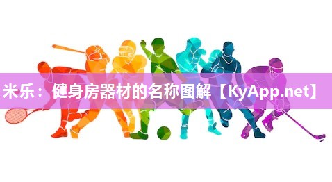 米乐：健身房器材的名称图解
