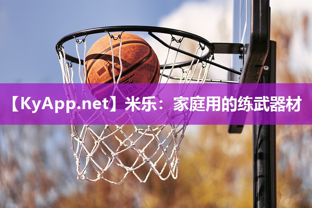 米乐：家庭用的练武器材