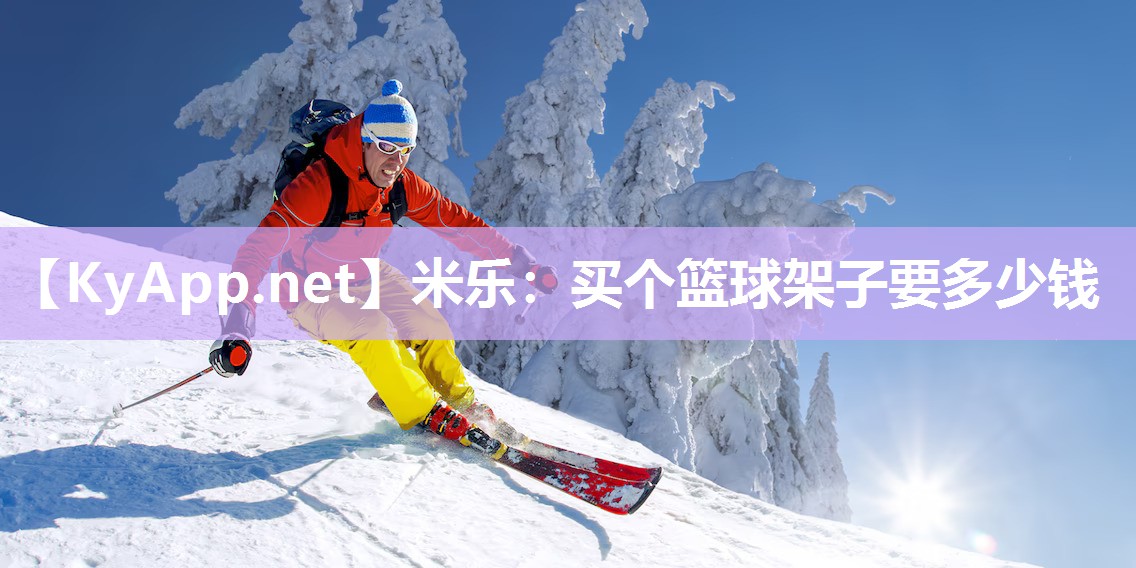 米乐：买个篮球架子要多少钱