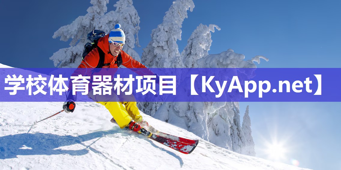学校体育器材项目