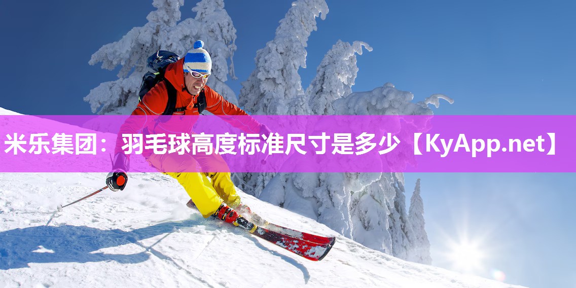 米乐集团：羽毛球高度标准尺寸是多少