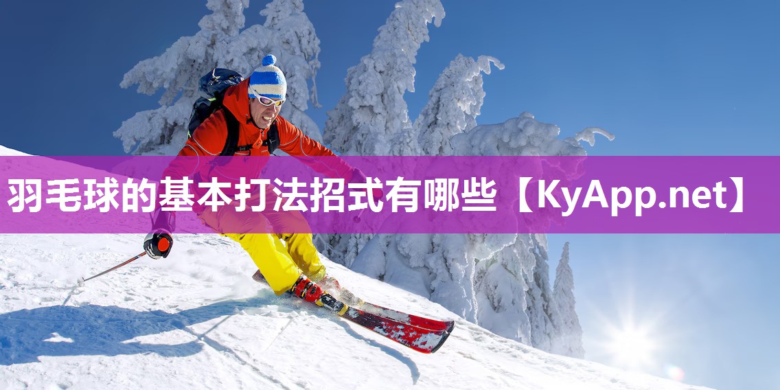 羽毛球的基本打法招式有哪些