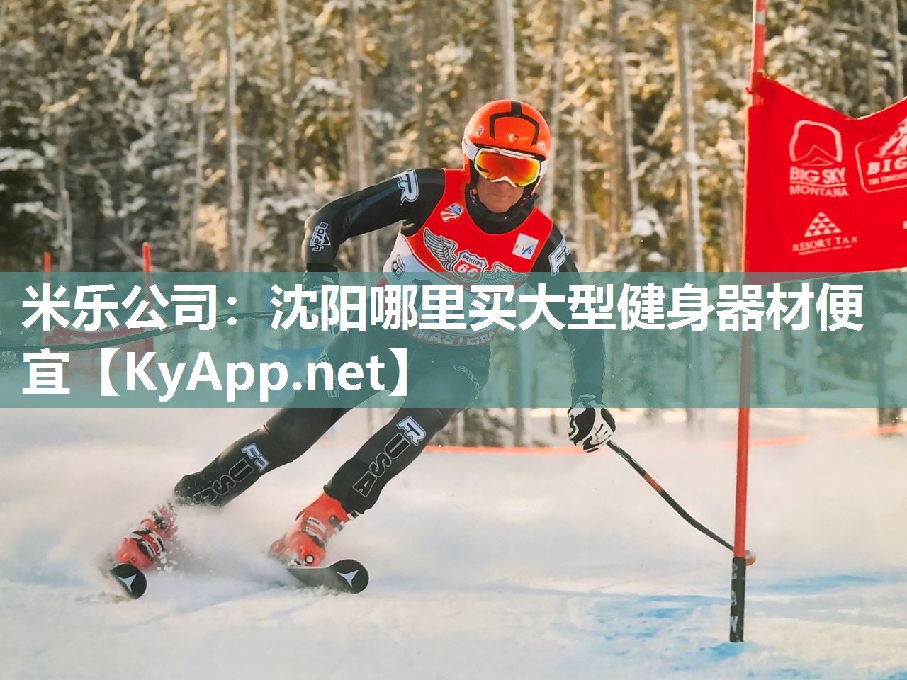 米乐公司：沈阳哪里买大型健身器材便宜