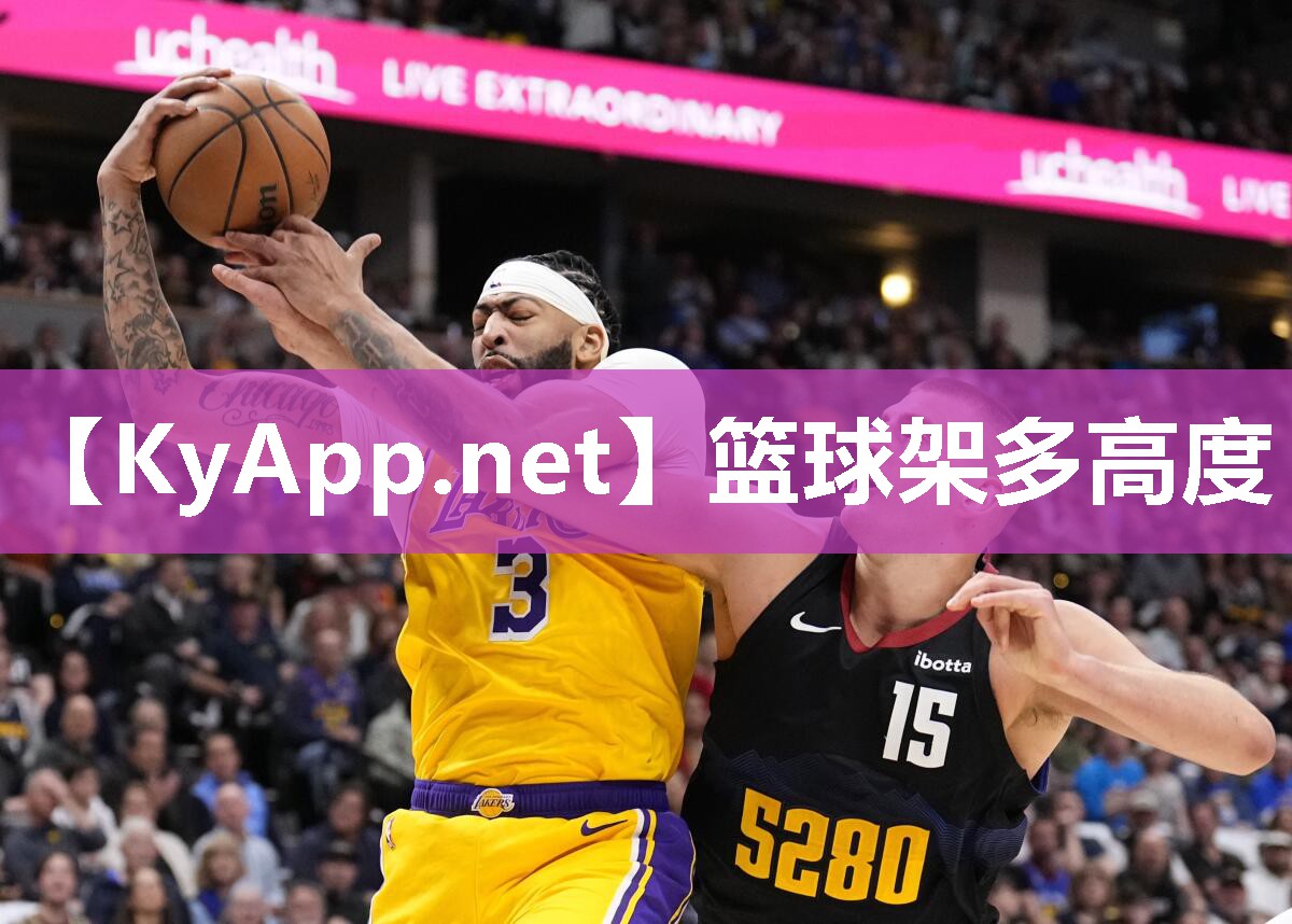 篮球架多高度