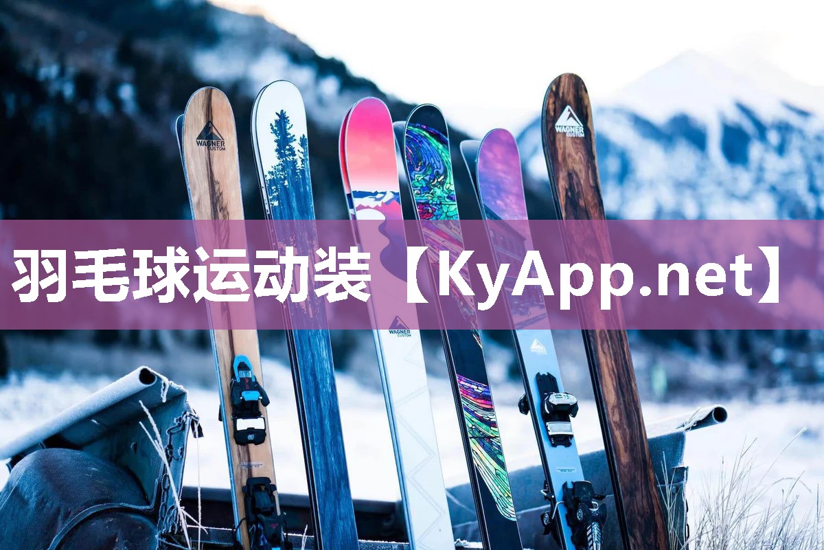 羽毛球运动装