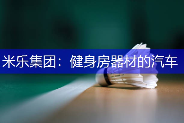 健身房器材的汽车