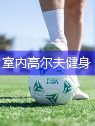 室内高尔夫健身