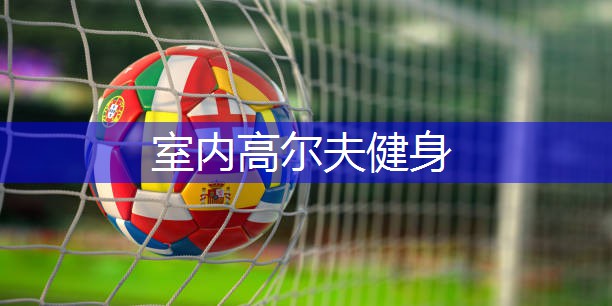 室内高尔夫健身