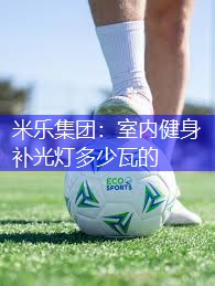 室内健身补光灯多少瓦的