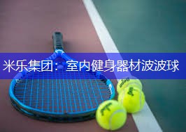 室内健身器材波波球