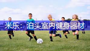 泊头室内健身器材