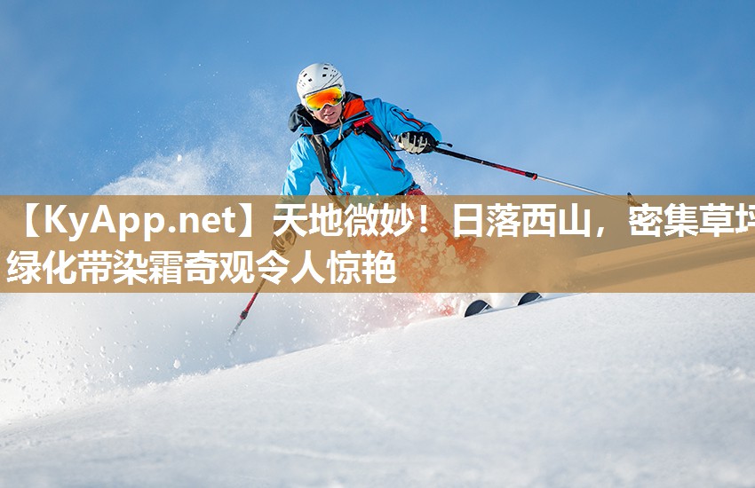 天地微妙！日落西山，密集草坪绿化带染霜奇观令人惊艳