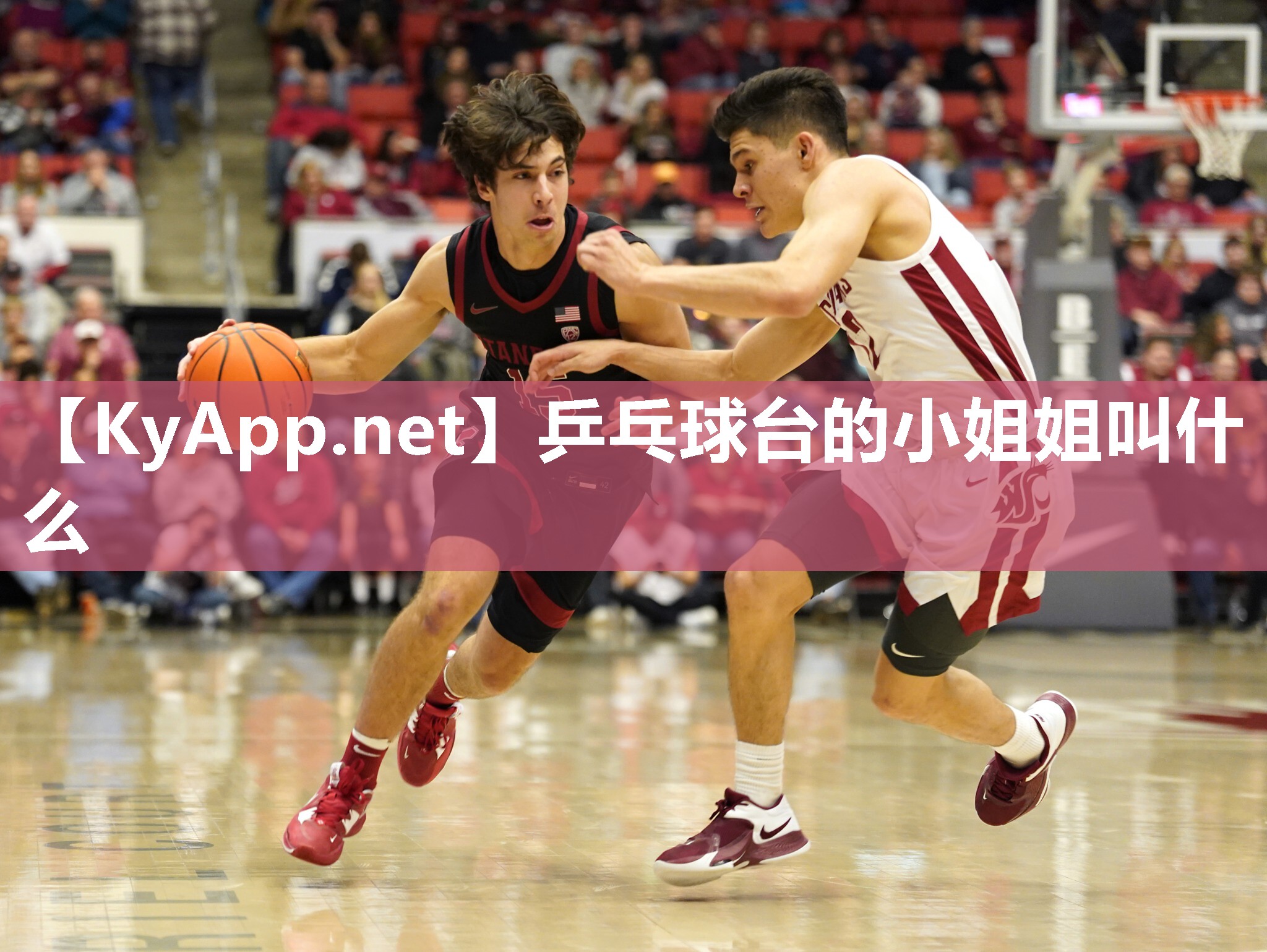 乒乓球台的小姐姐叫什么