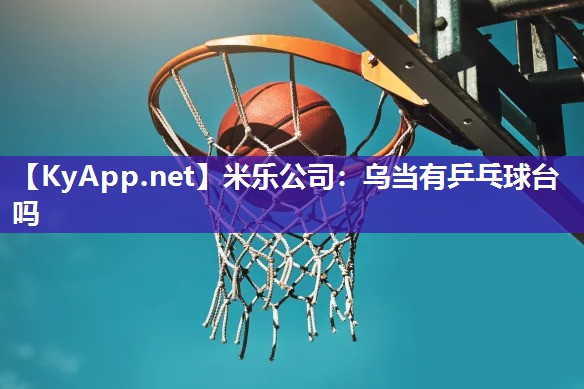 乌当有乒乓球台吗