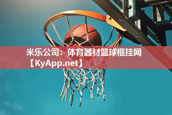 体育器材篮球框挂网