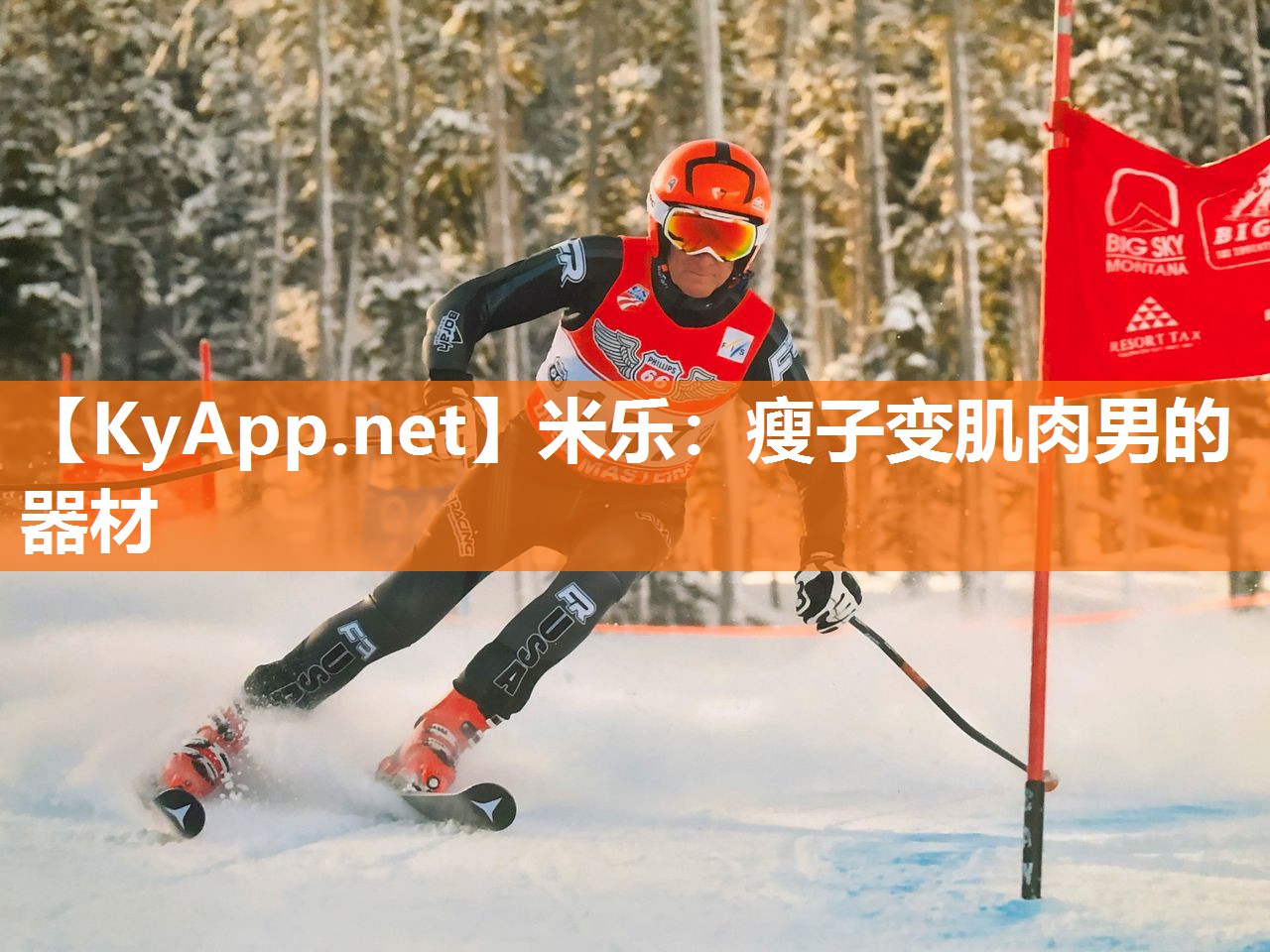 瘦子变肌肉男的器材