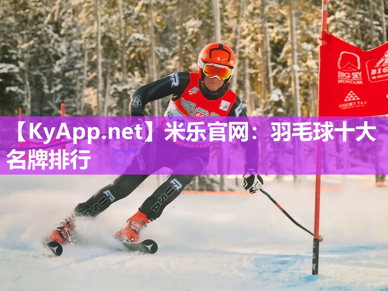 羽毛球十大名牌排行
