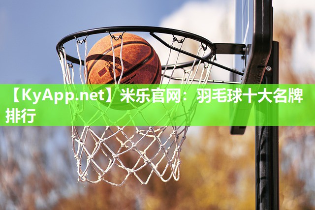 羽毛球十大名牌排行