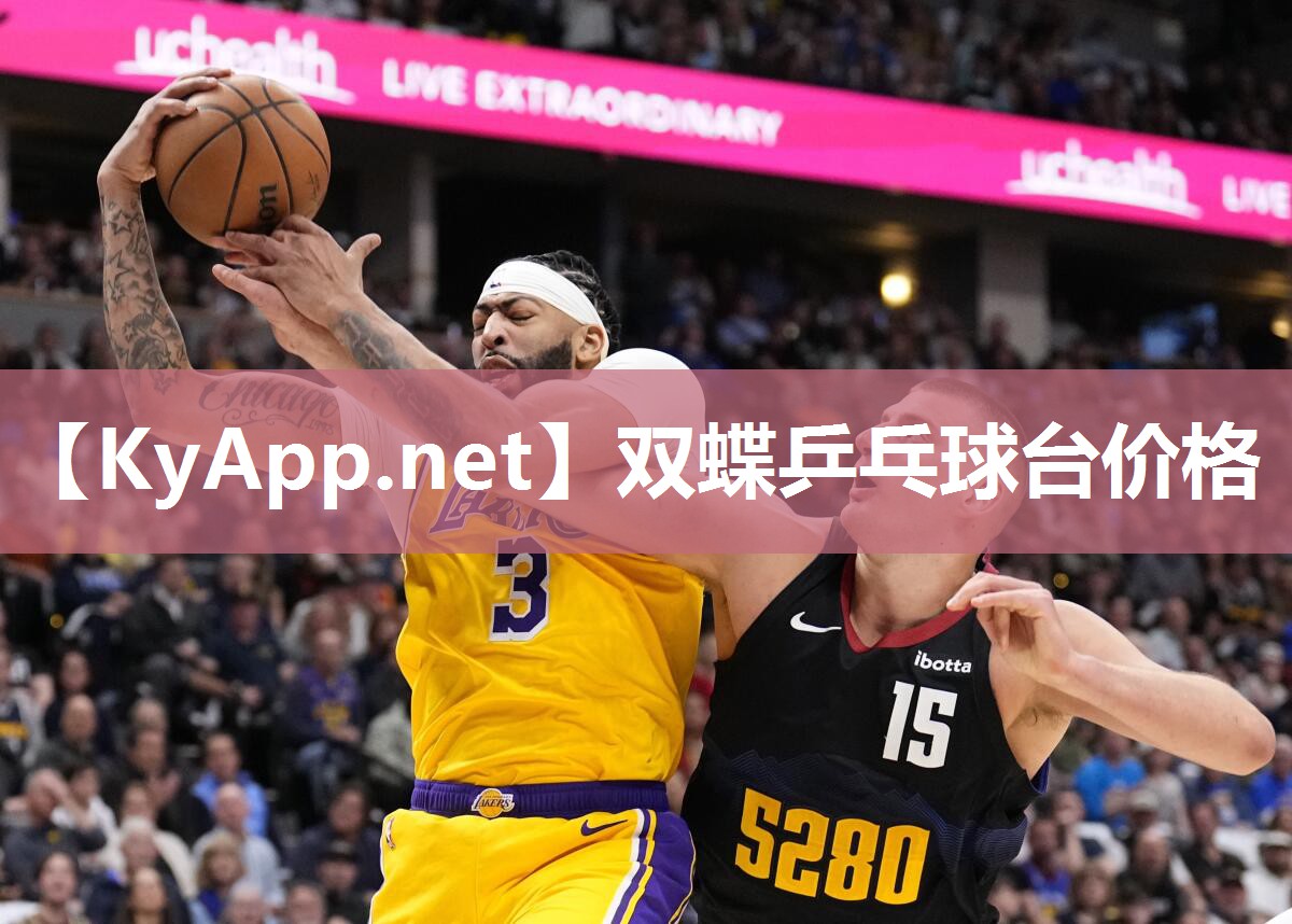 双蝶乒乓球台价格