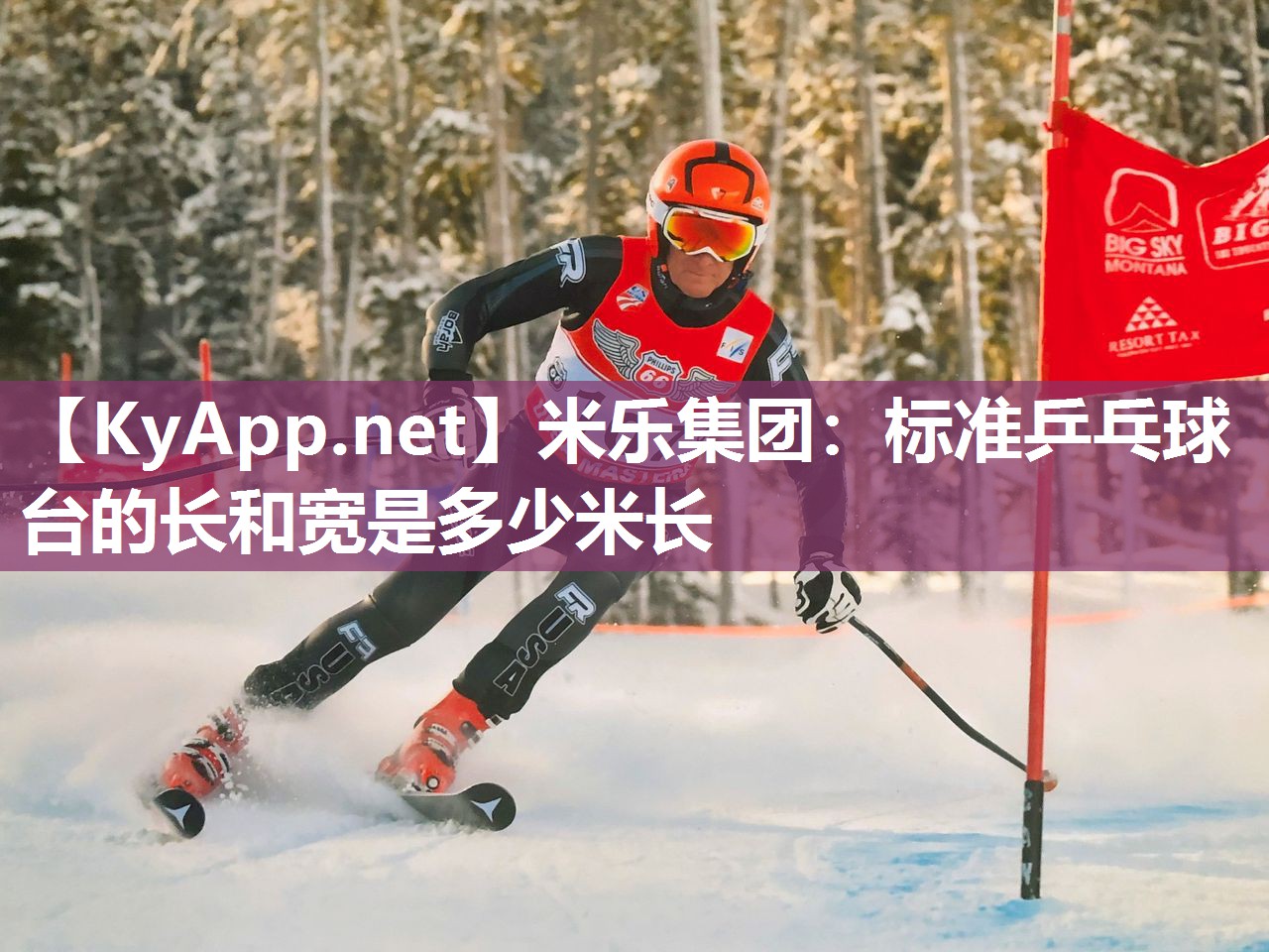 标准乒乓球台的长和宽是多少米长