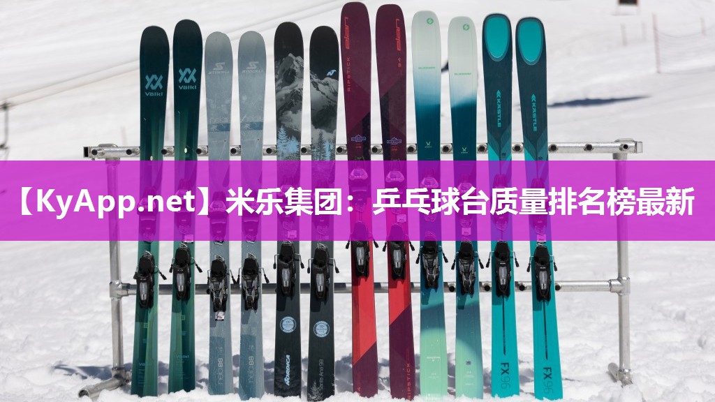 乒乓球台质量排名榜最新