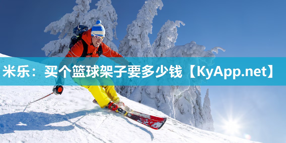 买个篮球架子要多少钱