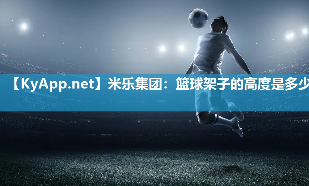 篮球架子的高度是多少