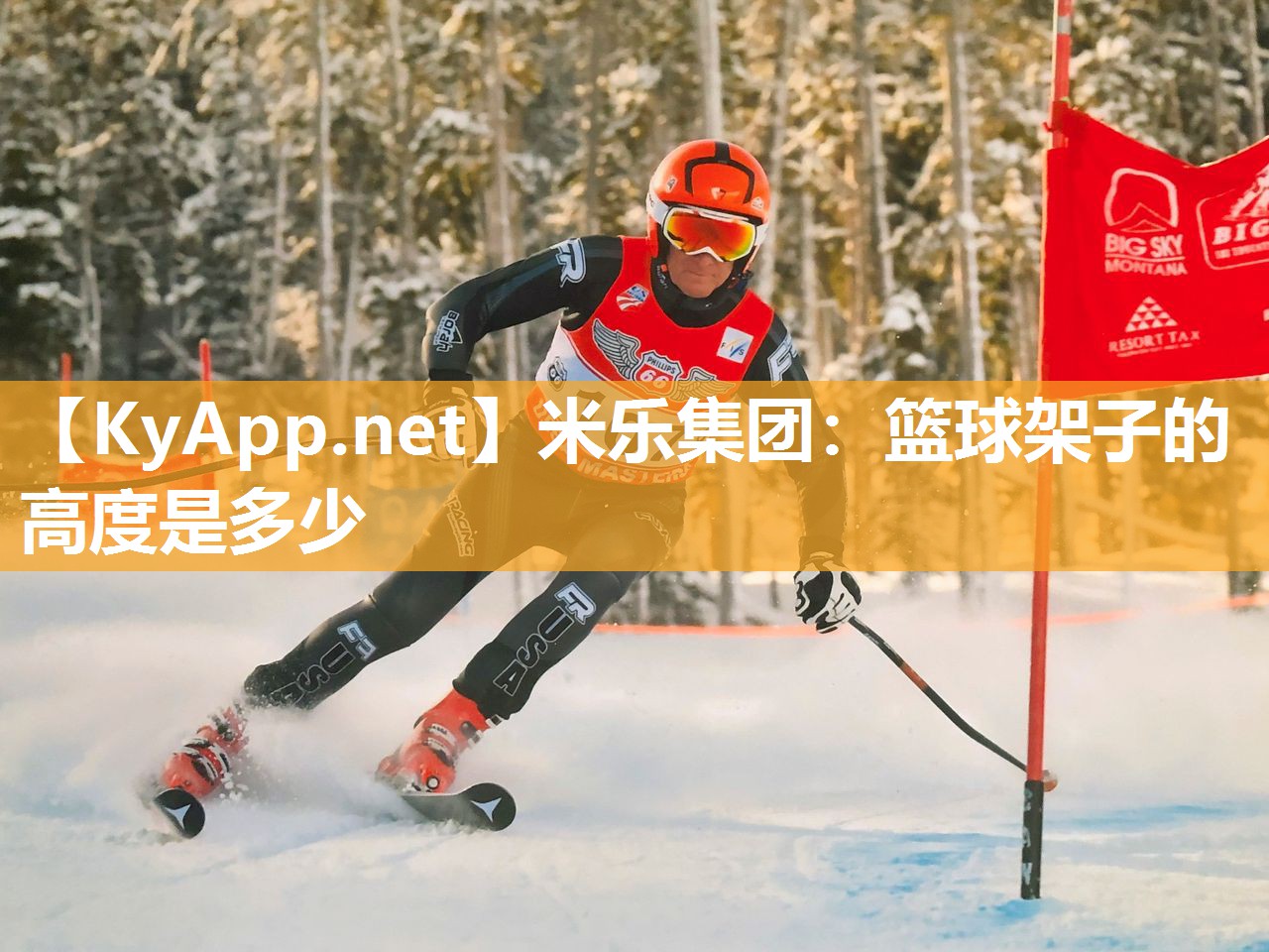 篮球架子的高度是多少