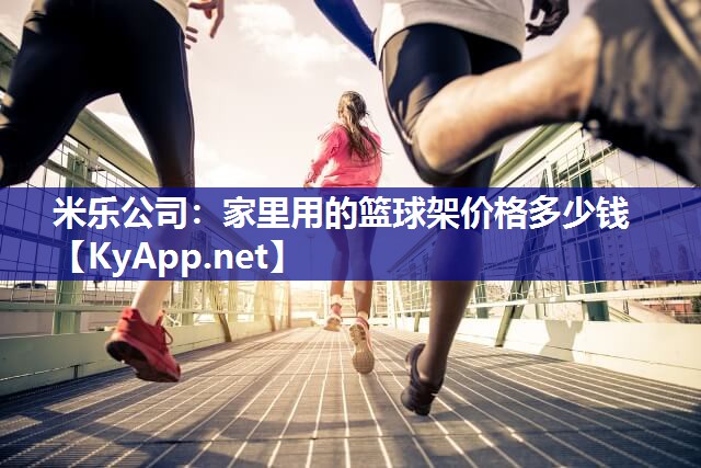 家里用的篮球架价格多少钱