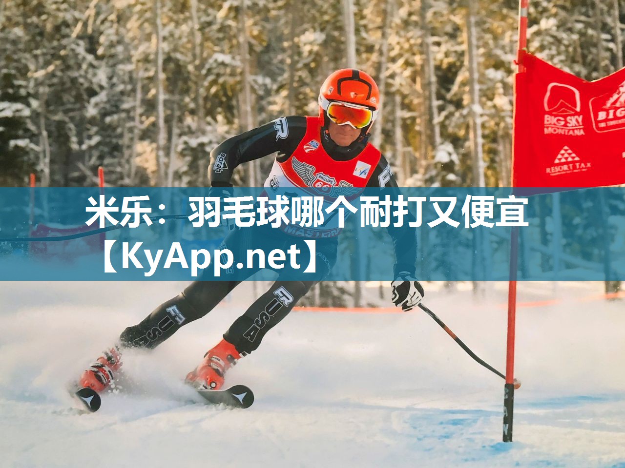 羽毛球哪个耐打又便宜