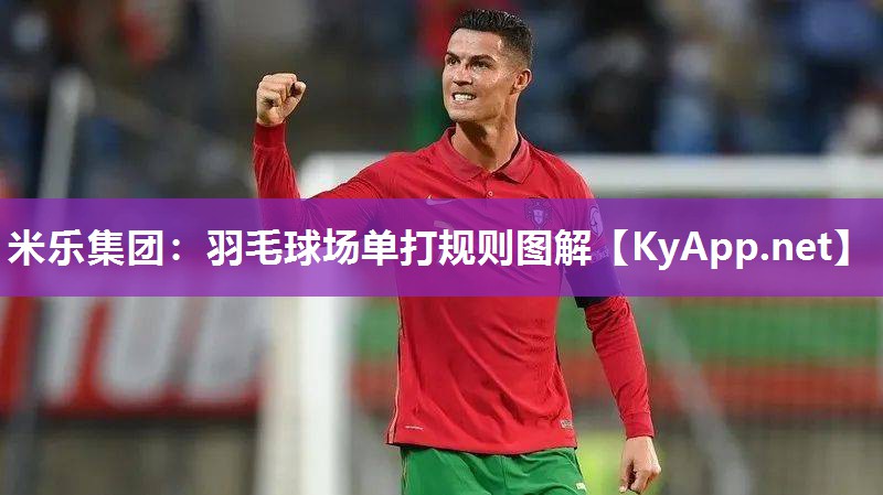 羽毛球场单打规则图解