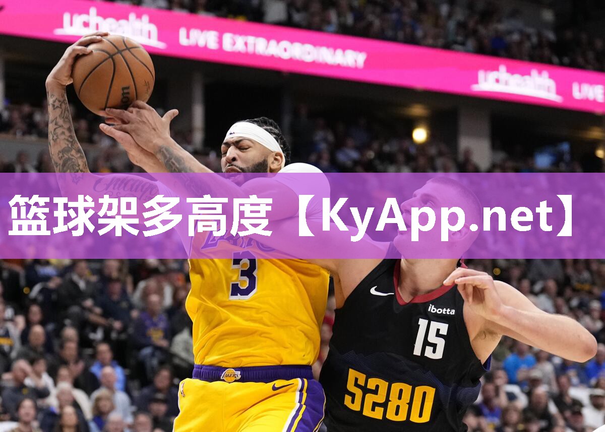 篮球架多高度