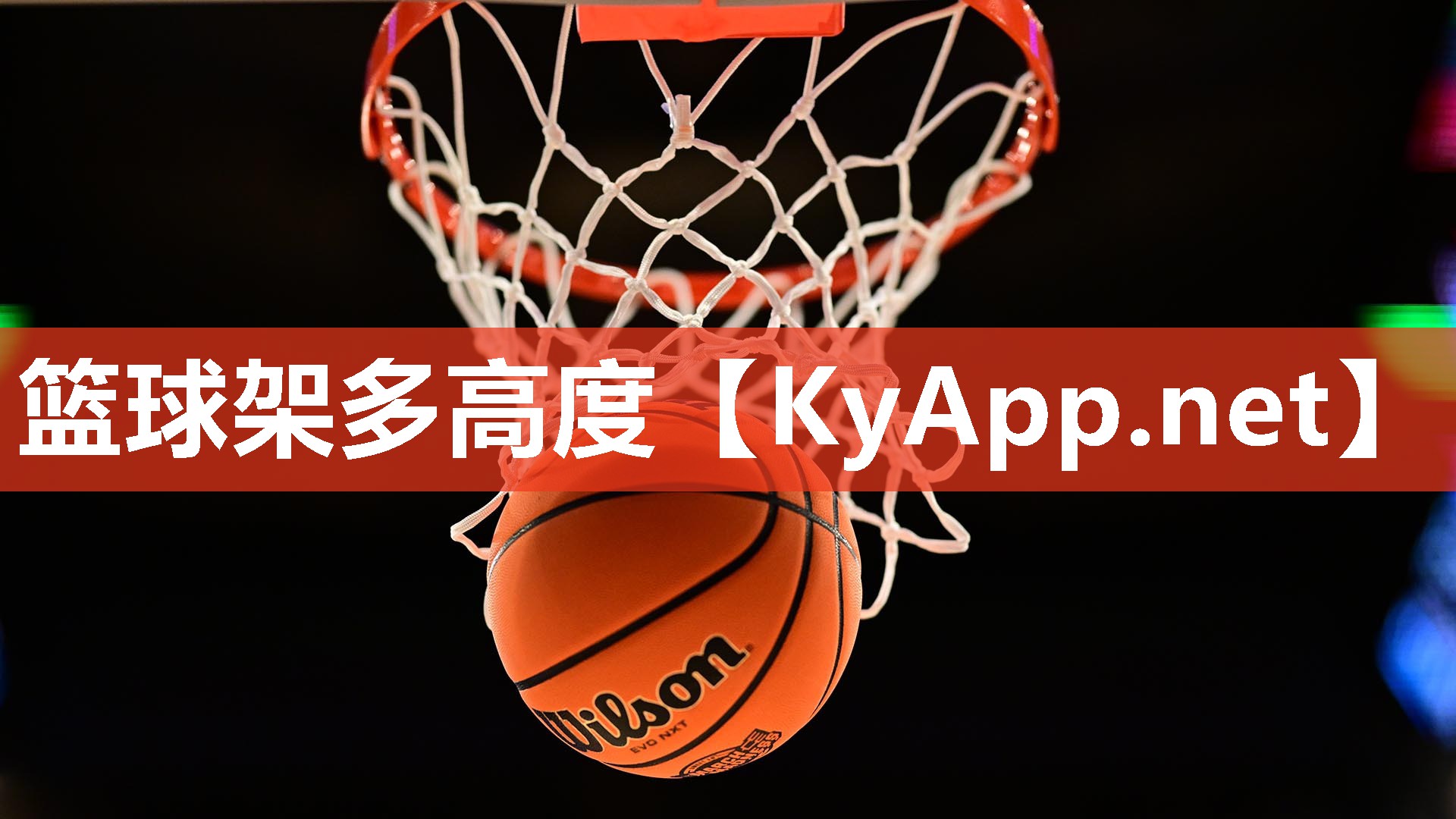 篮球架多高度
