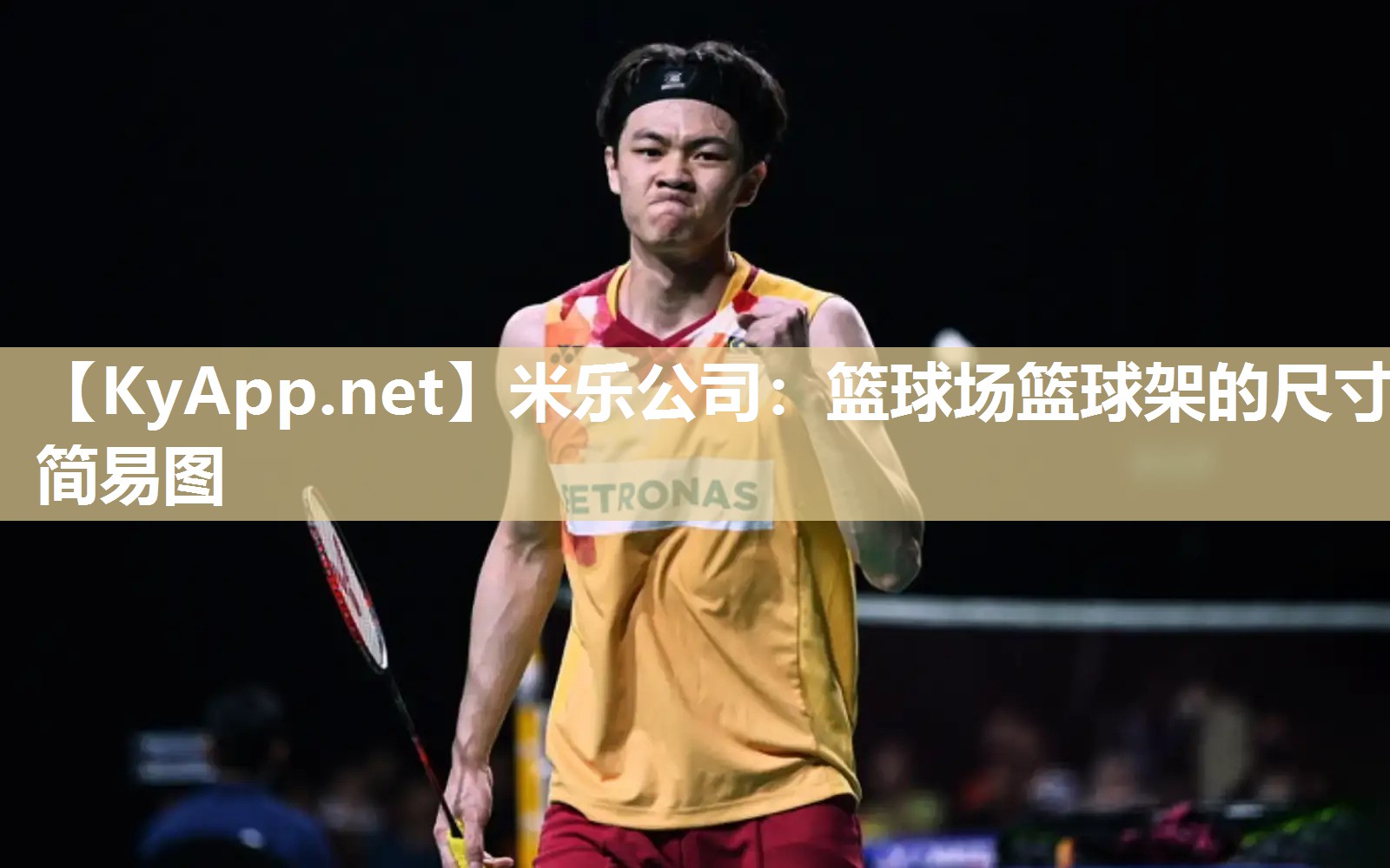 篮球场篮球架的尺寸简易图