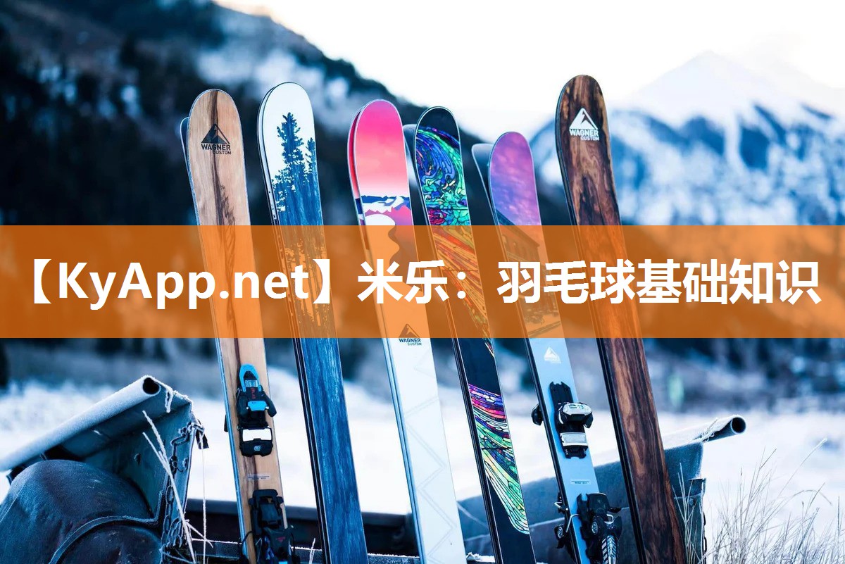 羽毛球基础知识
