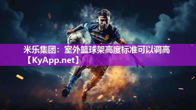 室外篮球架高度标准可以调高