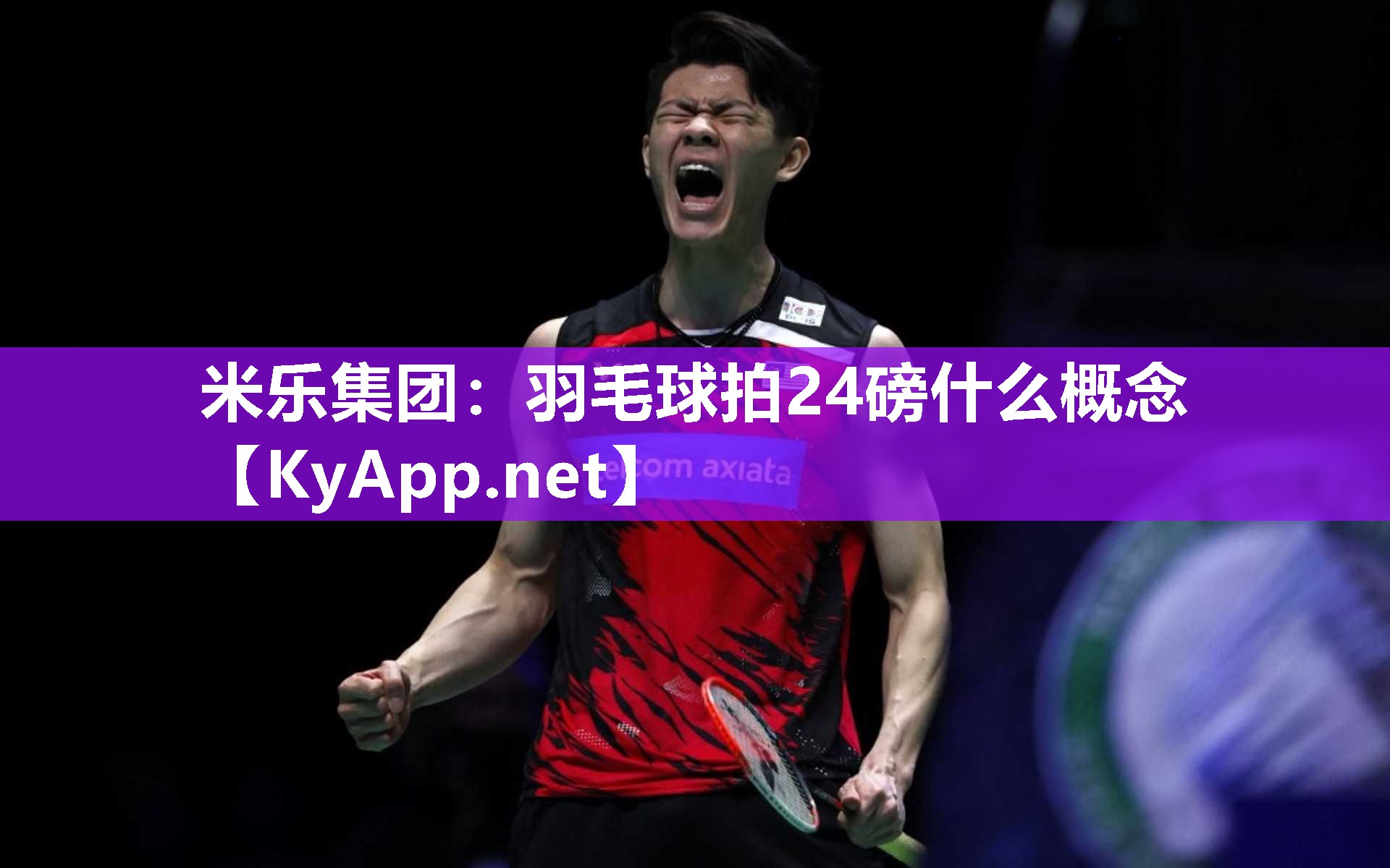 羽毛球拍24磅什么概念