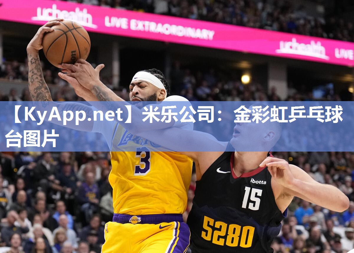 金彩虹乒乓球台图片