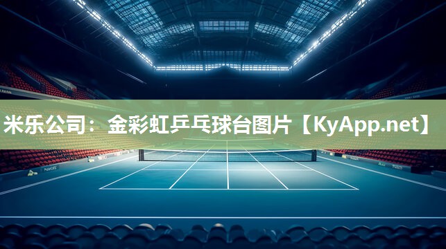 金彩虹乒乓球台图片